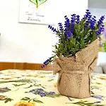 Casa Vacanze Lavanda